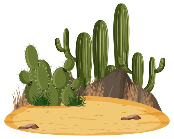 Paysage Désertique Isolé Avec Illustration Cactus — Image vectorielle