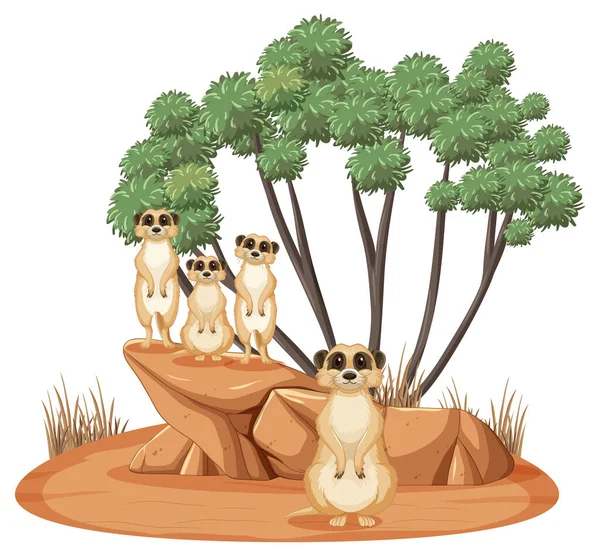 Cena Natureza Isolada Com Ilustração Família Meerkat —  Vetores de Stock