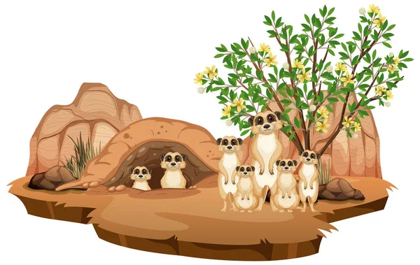 Cena Natureza Isolada Com Ilustração Família Meerkat —  Vetores de Stock