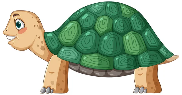 Side View Turtle Green Shell Cartoon Style Illustration — vektorikuva