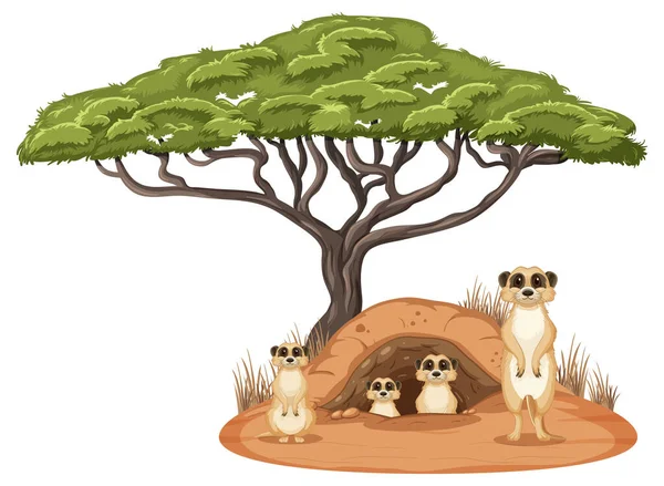 Família Meerkat Ilustração Estilo Cartoon —  Vetores de Stock