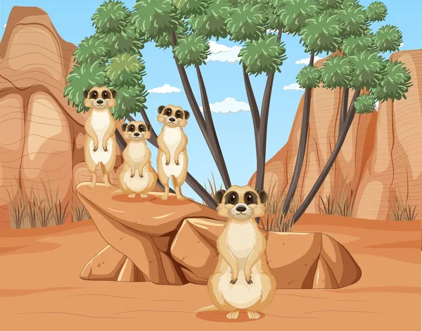 带有一组Meerkats示例的沙漠背景 — 图库矢量图片