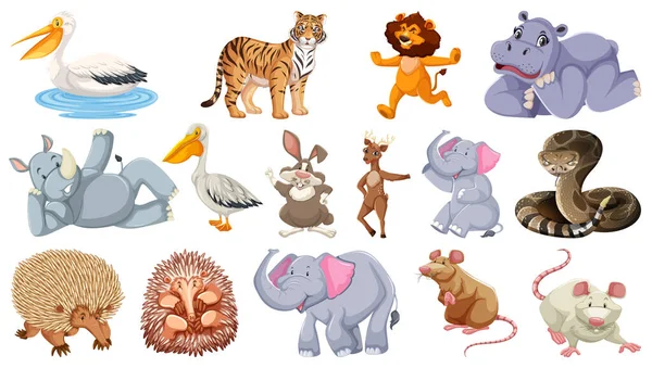 Conjunto Diferentes Animais Selvagens Desenhos Animados Personagens Ilustração — Vetor de Stock