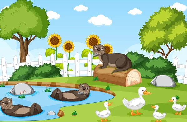 Nature Scene Otters Ducks Illustration — Stock Vector