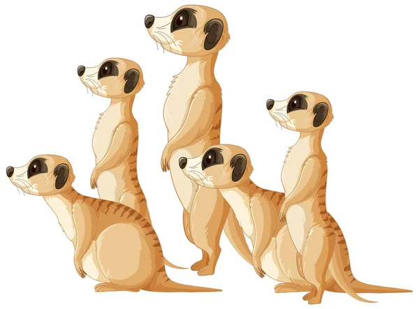 Sidovy Meerkats Grupp Tecknad Stil Illustration — Stock vektor