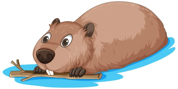 Beaver Holding Wood Stick Water Illustration — Stock Vector