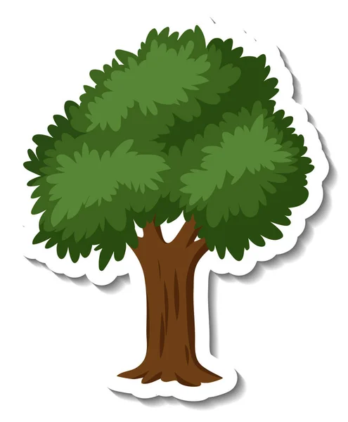 Isolated Tree Cartoon Style Illustration — Stock Vector