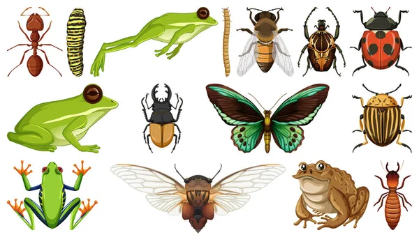 Different Insects Collection Isolated White Background Illustration — Stock Vector