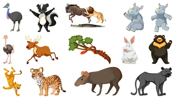 Set Diversi Animali Selvatici Personaggi Dei Cartoni Animati Illustrazione — Vettoriale Stock