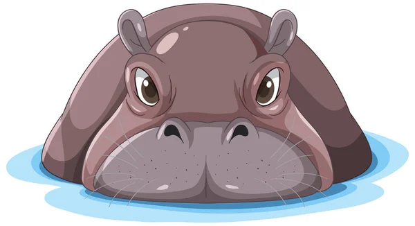 Przód Hipopotama Twarz Ilustracji Wody — Wektor stockowy