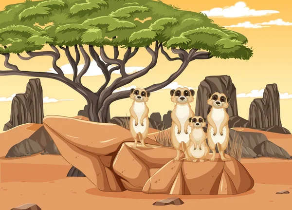 Fundo Deserto Com Grupo Meerkats Ilustração —  Vetores de Stock