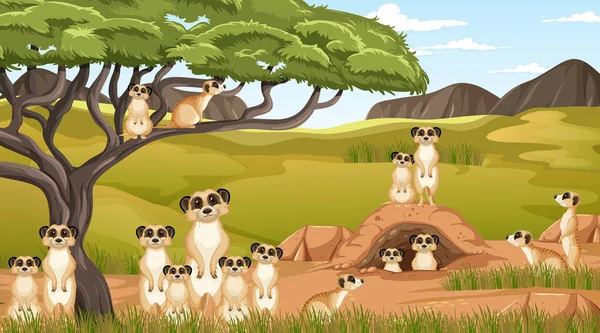 Meerkat Familie Woont Savanne Bos Illustratie — Stockvector