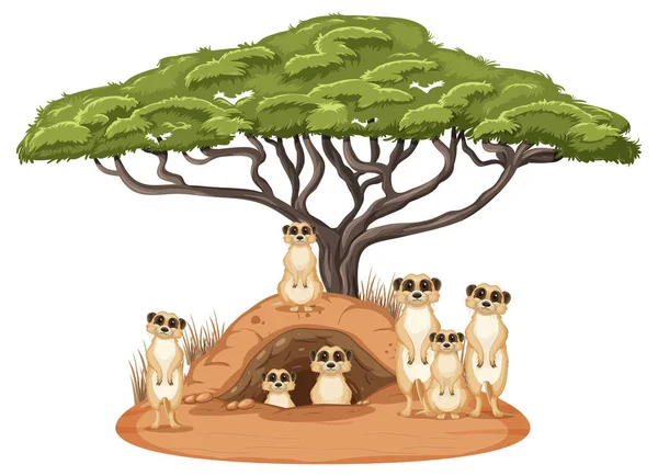 Scène Nature Isolée Avec Illustration Famille Meerkat — Image vectorielle