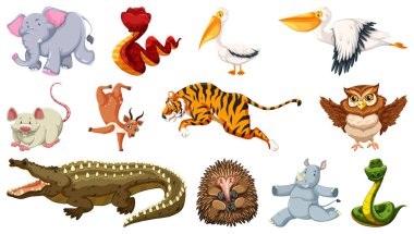 Bir dizi farklı vahşi hayvan çizgi film karakteri çizimi