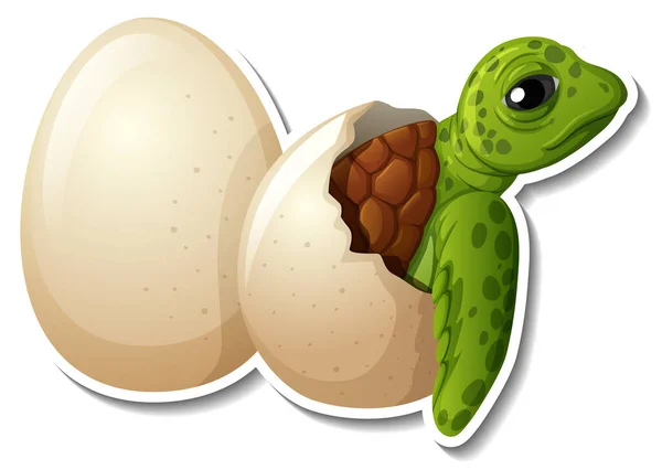 Μωρό Χελώνα Εκκόλαψη Από Μια Εικόνα Αυτοκόλλητο Καρτούν Αυγό Ζώο — Διανυσματικό Αρχείο