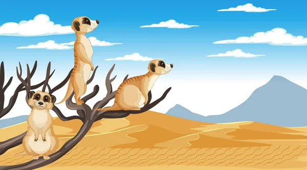 Meerkats Ilustración Del Paisaje Del Bosque Del Desierto — Vector de stock