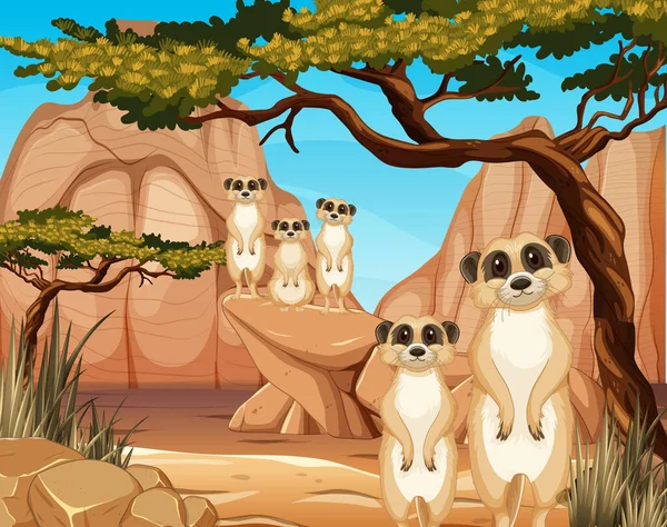 Cena Deserto Com Bonitinho Pequena Ilustração Meerkats —  Vetores de Stock