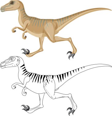 Velociraptor dinozoru, beyaz arkaplan çizimi üzerine karalama çizgisi ile