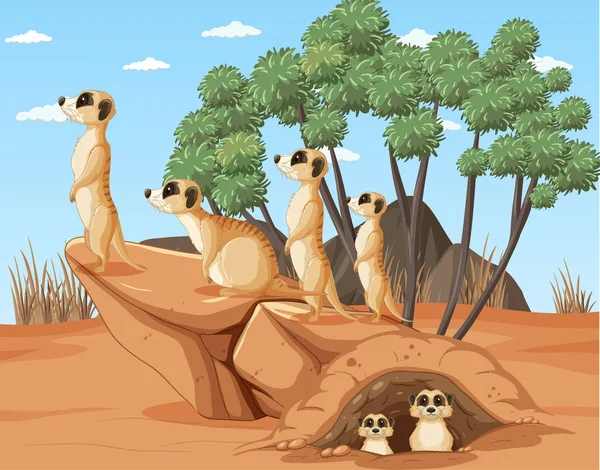 Fundo Deserto Com Grupo Meerkats Ilustração —  Vetores de Stock
