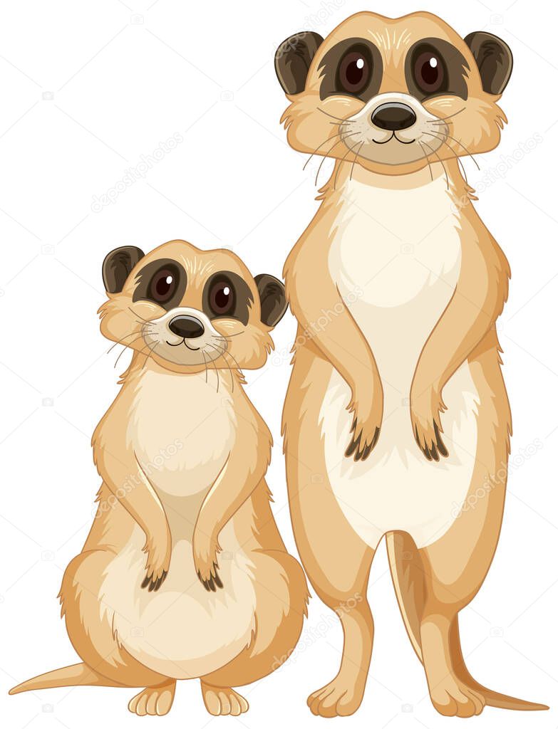 Two cute meerkats in cartoon style illustration