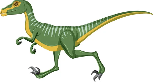 Velociraptor Dinosaurus Bílém Pozadí Ilustrace — Stockový vektor