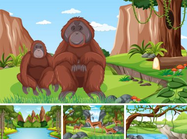 Ormanda vahşi hayvanların olduğu bir sahne.