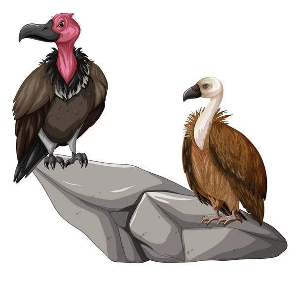 Two Vulture Birds Rock Illustration — Stock Vector