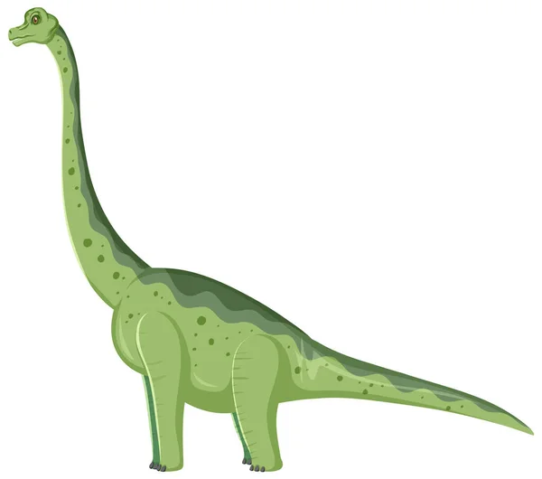 Brachiosaurus Dinoszaurusz Fehér Háttér Illusztráció — Stock Vector