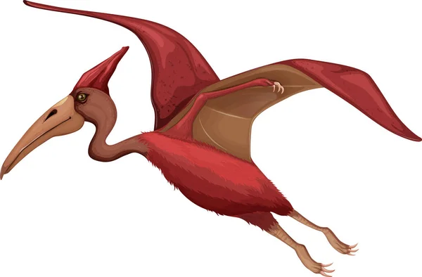 Pteranodon Dinosaurie Vit Bakgrund Illustration — Stock vektor