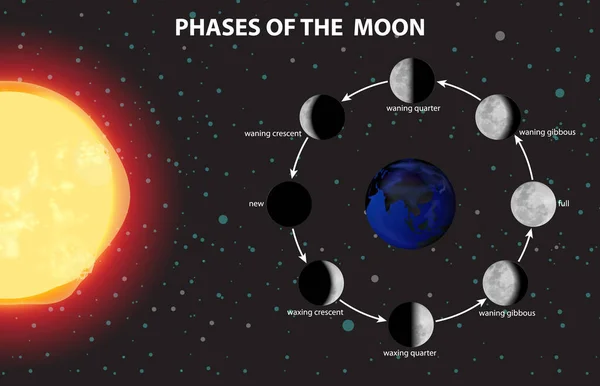 Sistema Solar Para Ilustração Educação Científica — Vetor de Stock