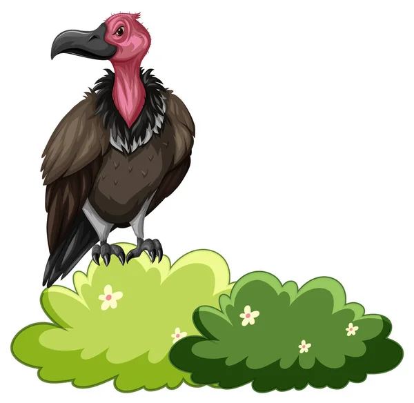 Vulture Bird Standing Bush Illustration — Stockový vektor