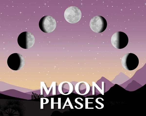 Hold Fázisai Természettudományi Oktatás Illusztrációjához — Stock Vector
