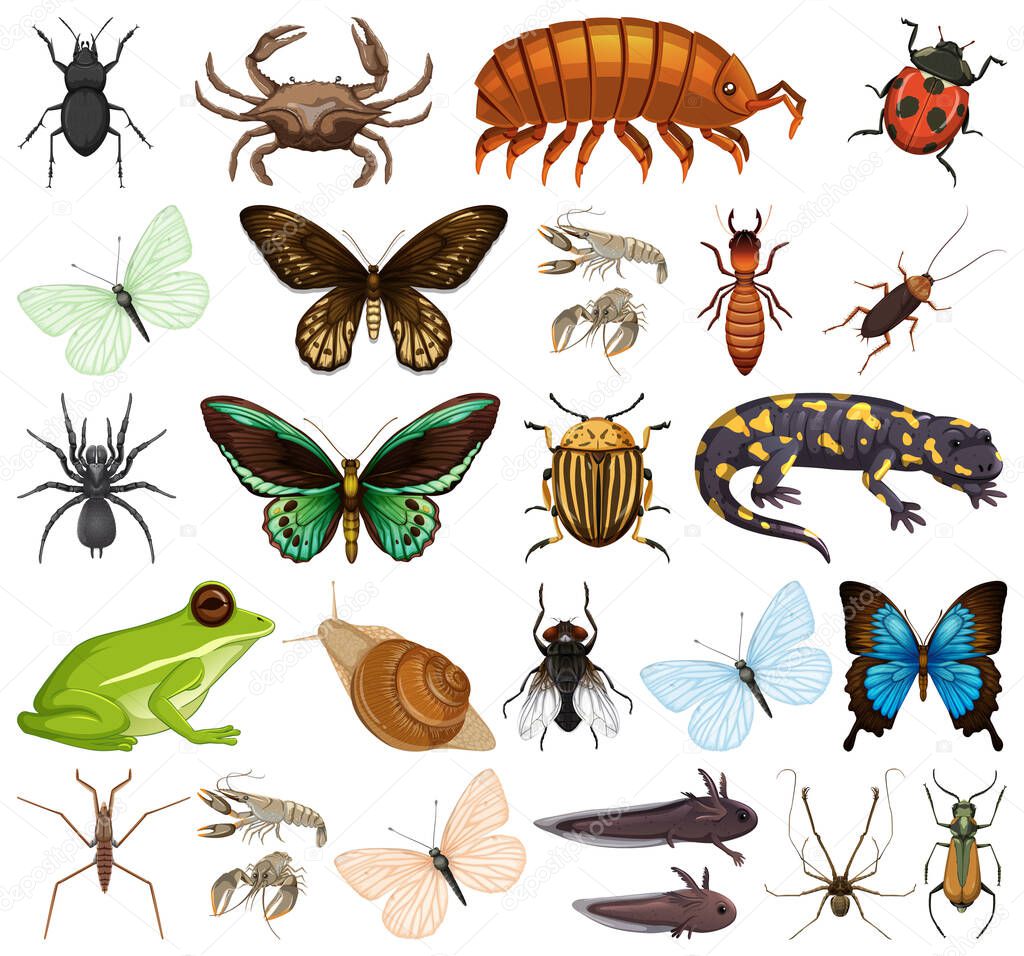 Different kinds of insects and animals on white background illustration