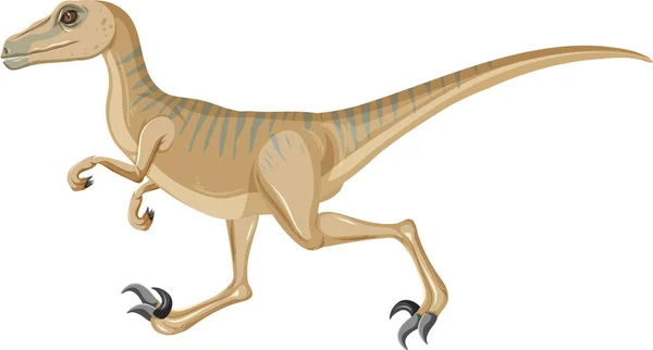 Velociraptor Dinossauro Sobre Fundo Branco Ilustração — Vetor de Stock