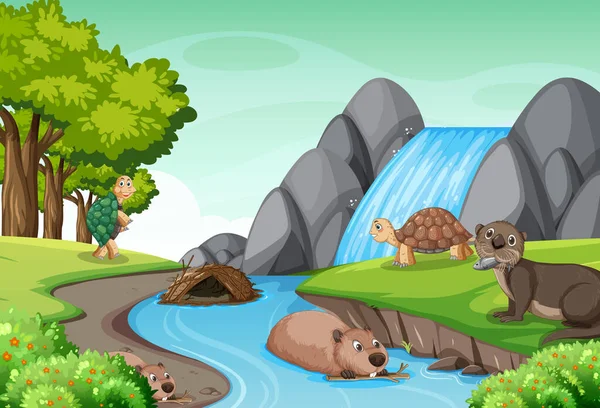 Vattenfall Skogen Med Sköldpaddor Och Bävrar Illustration — Stock vektor