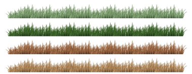 Farklı renkte dört çimen seti