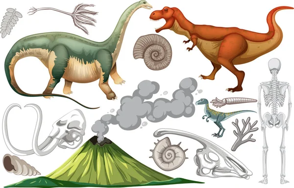 Uppsättning Dinosaurie Och Fossil Illustration — Stock vektor