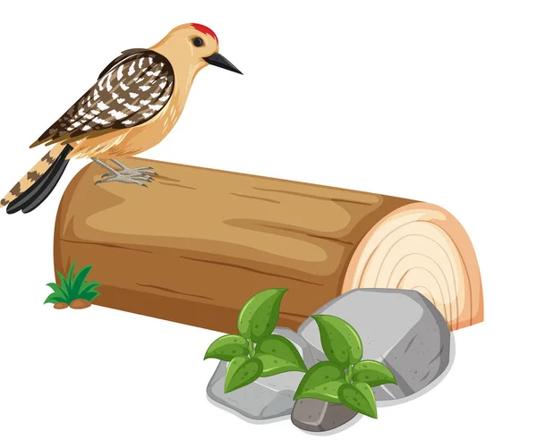 Cute Bird Standing Log Illustration — Stock Vector