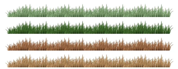 異なる色のイラストで草の4セット — ストックベクタ