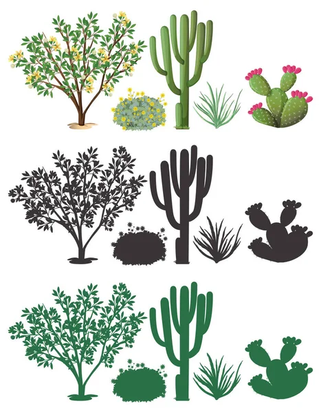 シルエットイラストで異なる植物 — ストックベクタ
