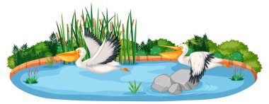 İki pelikan kuşlu sahne