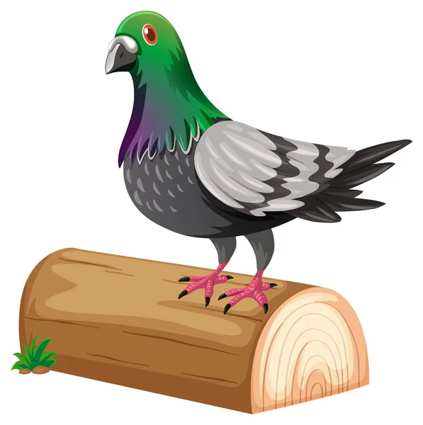 Pigeon Standing Log Illustration — Stock Vector