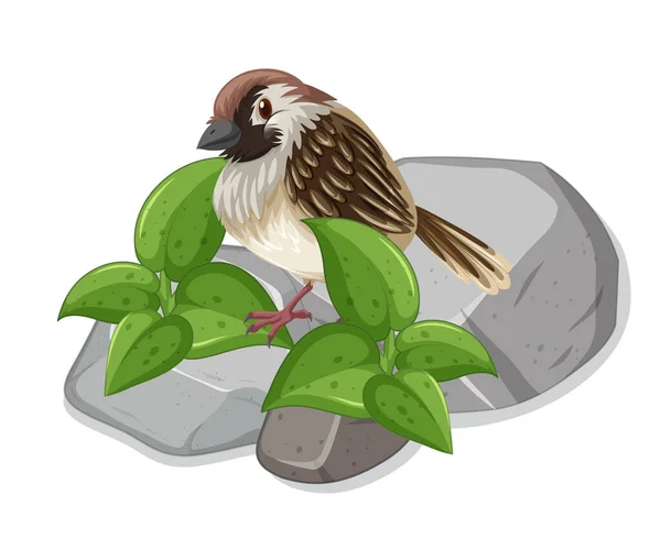 Little Sparrow Standing Rock Illustration — Stock Vector