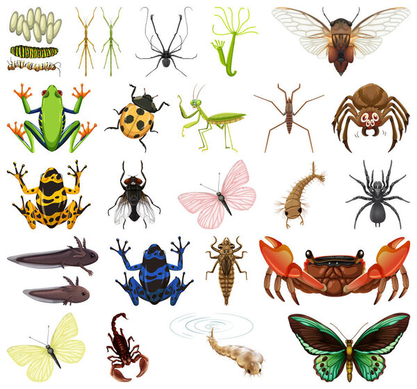 Different kinds of insects and animals on white background illustration