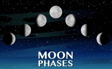 Bilim eğitimi illüstrasyonu için ayın evreleri