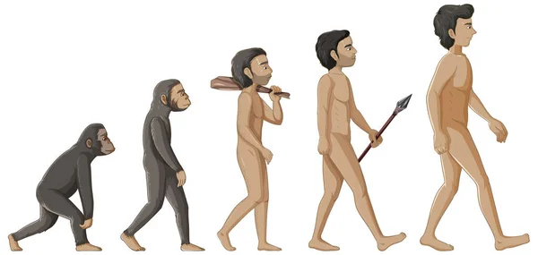 Fasi Dell Evoluzione Umana Illustrazione Personaggio Dei Cartoni Animati — Vettoriale Stock