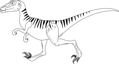 Velociraptor dinozor çizimi beyaz arkaplan çizimi