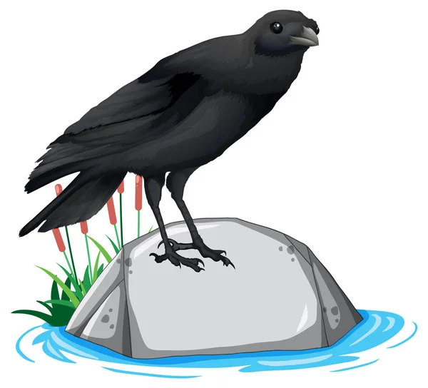 Cuervo Pie Ilustración Roca — Vector de stock