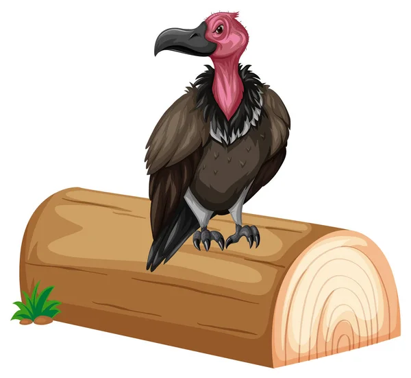 Vulture Berdiri Atas Ilustrasi Log - Stok Vektor