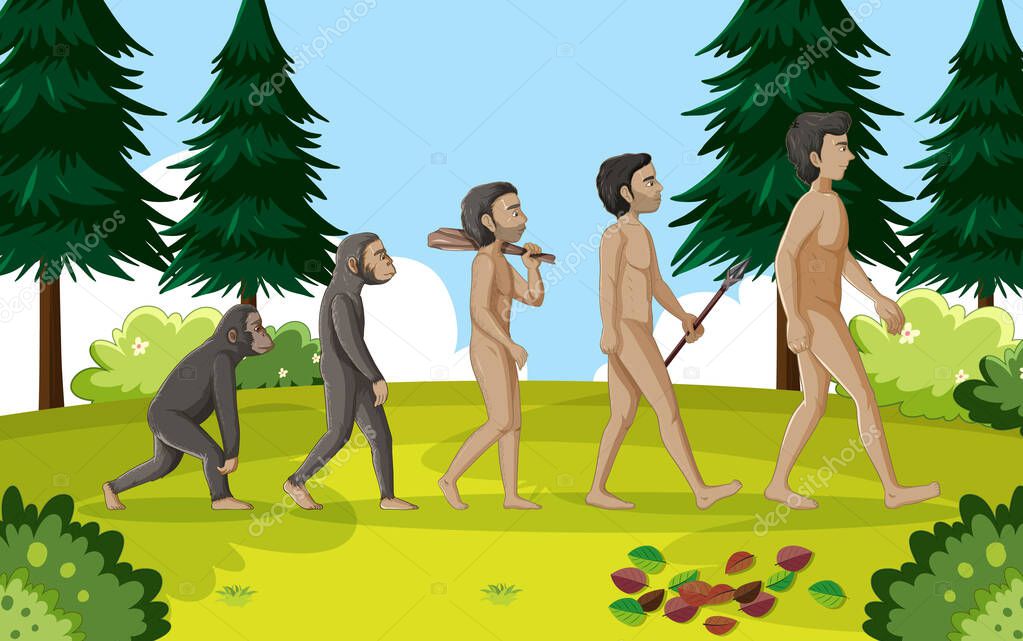 5 etapas de la evolución humana ilustración de dibujos animados 2023